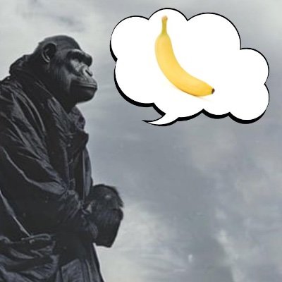 Stoic Ape